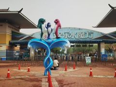 -欢乐水魔方水世界