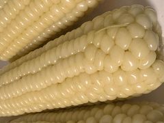 -林家饭店(新林公路店)