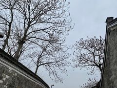 -慈城古县城景区