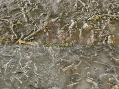 -二连浩特国家地质公园