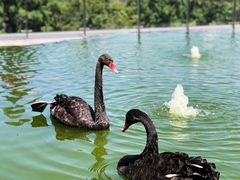 -南京圣和府邸豪华精选酒店