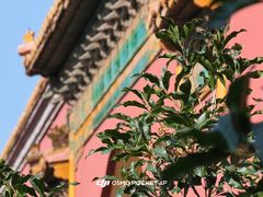 -北京市劳动人民文化宫(太庙)