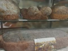 -世界昆虫与自然奇观博物馆