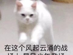 -快乐番薯奶茶(海沧海富路店)