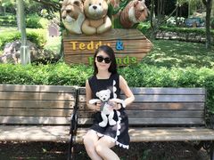 -济州岛泰迪熊博物馆