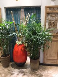 -渼树MSUTREE连锁沙龙