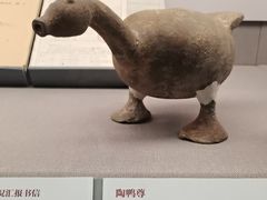 -北京大学赛克勒考古与艺术博物馆