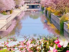 -海棠花溪(元大都城垣遗址公园)