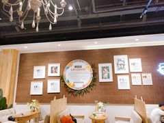 -藏猫猫咖啡主题馆(中央大道店)