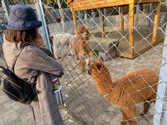 -长白岛森林公园