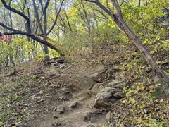 -沈阳辉山风景区