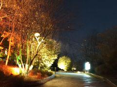 -茅山东方盐湖城景区