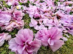 -苏州河梦清园环保主题公园