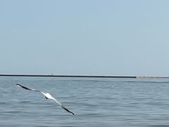 -奥冠体育华师附中恒温游泳馆