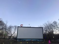 -枫花园汽车电影院(朝阳公园店)