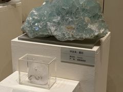 -天津自然博物馆