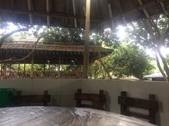 -满記土窑烧鷄波浪山莊