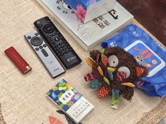 -武汉格丽雅家政 保洁清洗