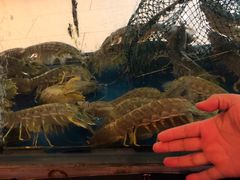 -喜记避风塘炒辣蟹(旗舰店)