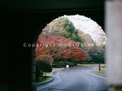 -上海瑞金洲际酒店
