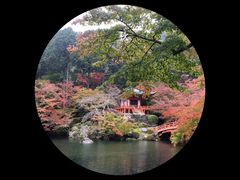 -醍醐寺