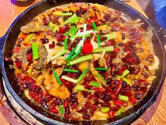 -老板恋上鱼(高新万达店)