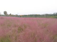 -郑东新区龙湖公共艺术中心