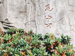 -狐尾山公园