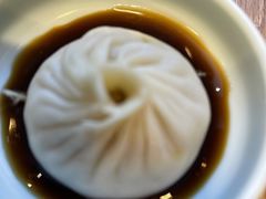 鲜肉小笼汤包-一品小笼(金融街店)