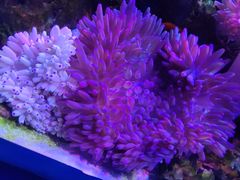 -多彩贵州城极地海洋世界