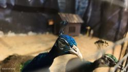 -酷嗒动物文化乐园(cutezoo西溪乐天城店)