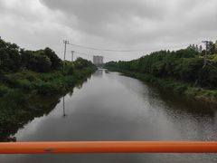 -上海长兴岛郊野公园