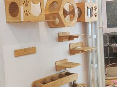-猫咪派对(江南西店)