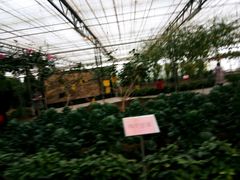 -兰陵国家农业公园