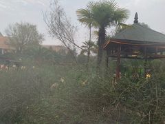 -咸宁万豪温泉谷度假区