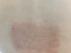 -上海市黄浦区香山中医医院