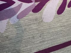 -麗枫酒店(广州汉溪长隆站野生动物园景区店)