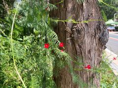 -南京金牛湖风景区