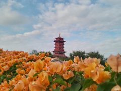 -厦门园林博览苑