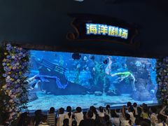 -南昌海洋公园