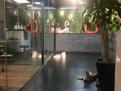 -Goku PET SHOP宠物视觉生活馆(双井店)