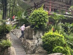-晓港公园