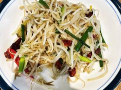 生炝绿豆芽-名羊天下陕北横山铁锅炖羊肉(博文路店)