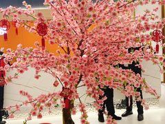 -红鼎豆捞·非遗鲍皇汤火锅(宝丰路店)