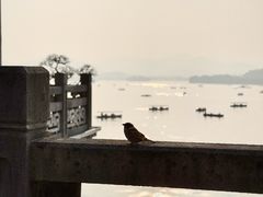 -湖畔居茶楼(湖滨店)