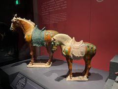 -陕西历史博物馆