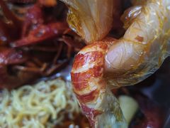 -京悦南门涮羊肉·羊蝎子火锅(田林路店)