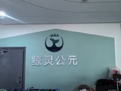 -鲸灵公元游泳中心