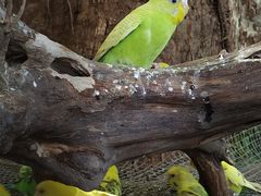 -五邑人家(江门店)