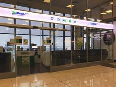 -谢列梅捷沃国际机场